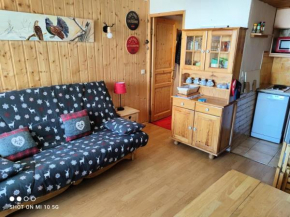 Résidence Dome - APPARTEMENT ALPE D'HUEZ HAUT DE STATION/COGNET MAE-3101